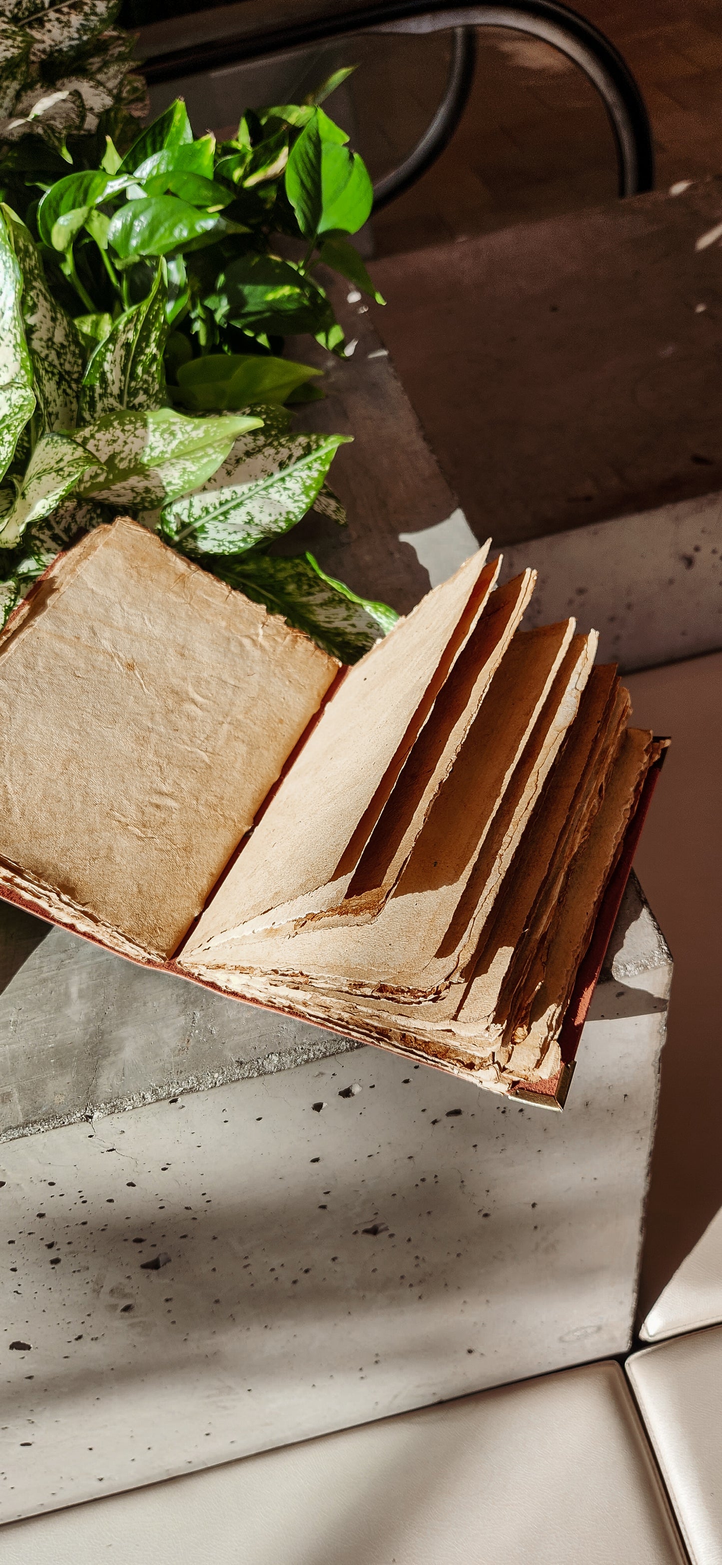 Mushroom Glory Antique leather Journal sketchbook