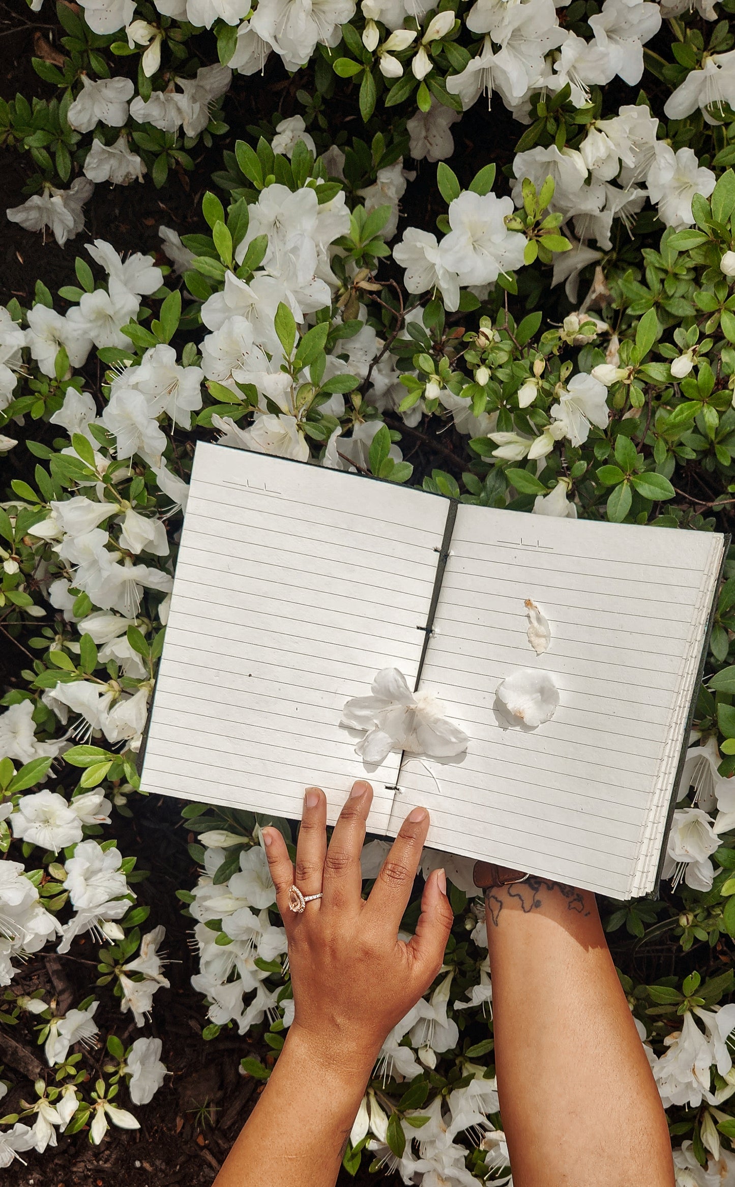 Mushroom glory leather journal