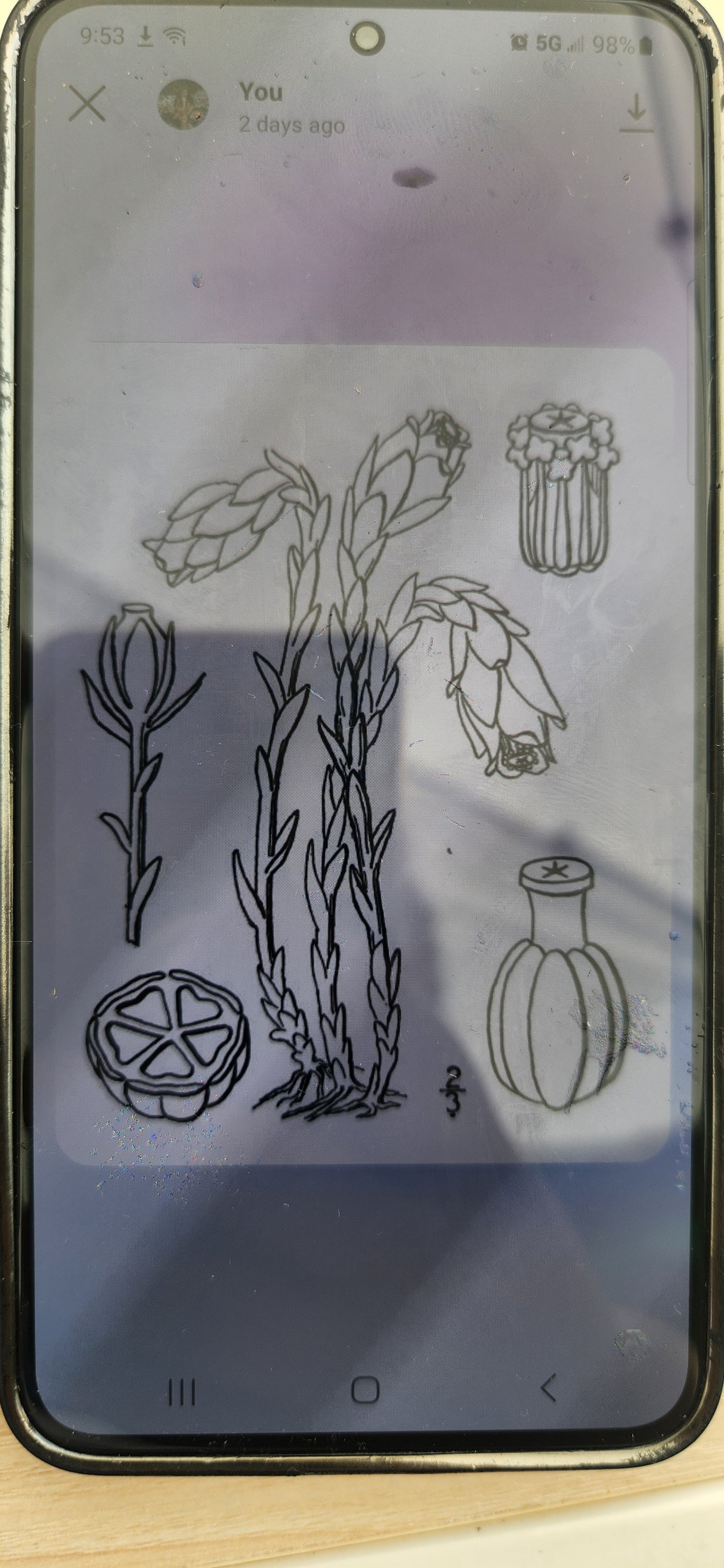 Custom order Aerin