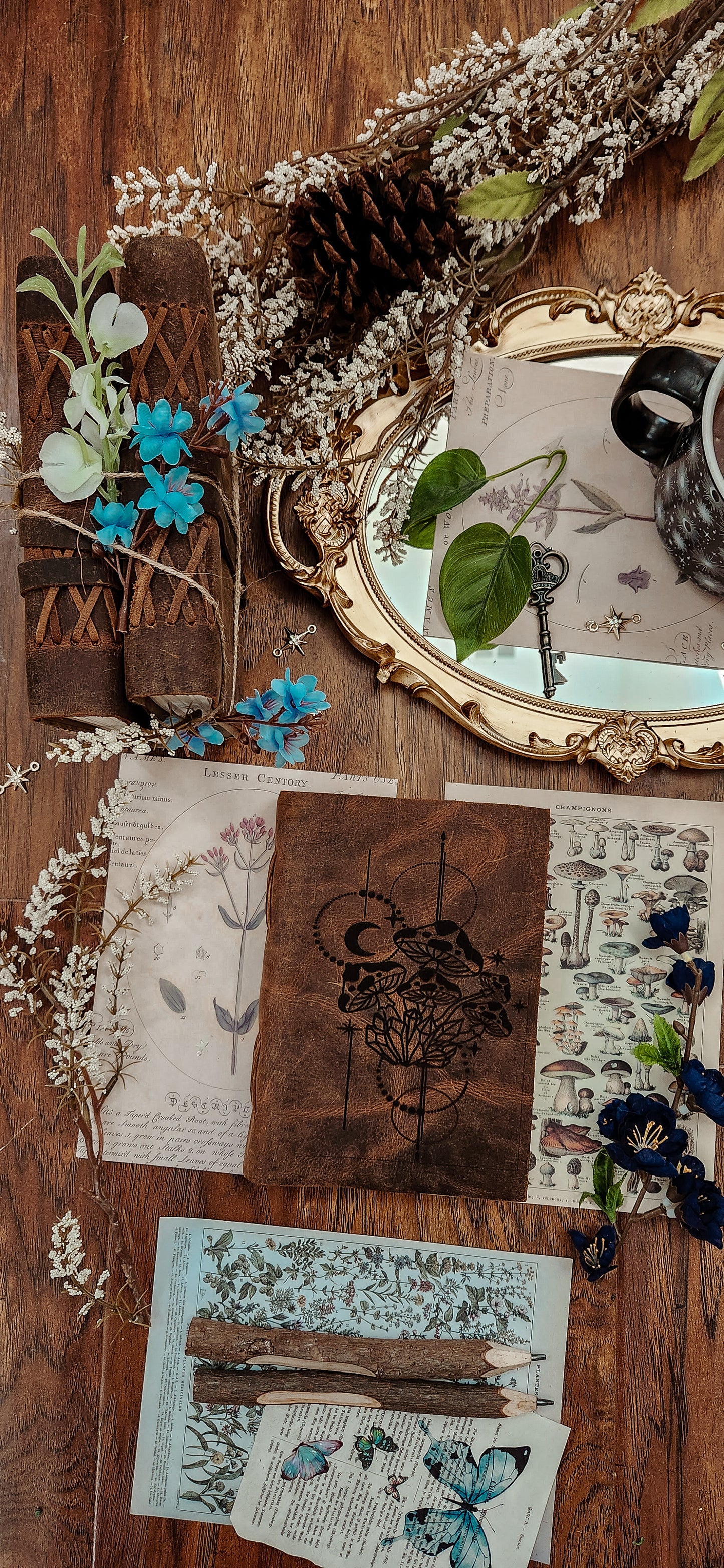 Medieval Mushroom leather Journal & sketchbook