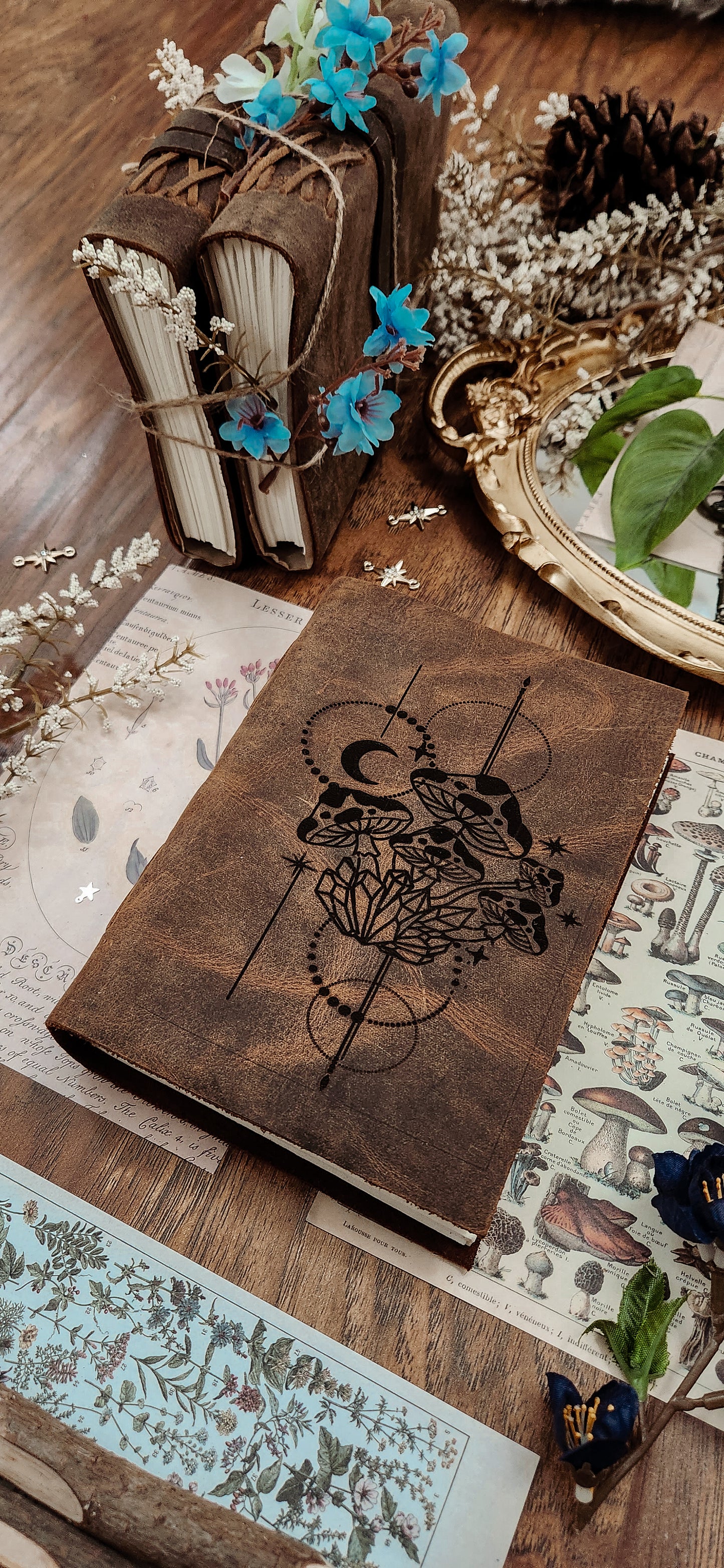 Medieval Mushroom leather Journal & sketchbook