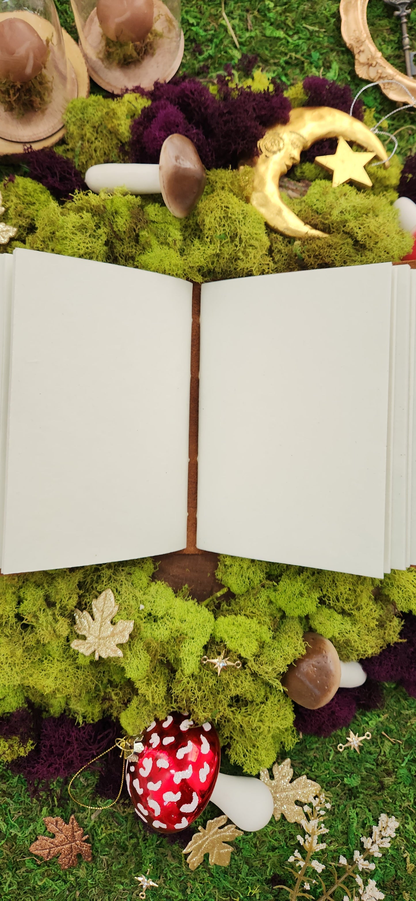 Botanist Plant leather Journal & sketchbook
