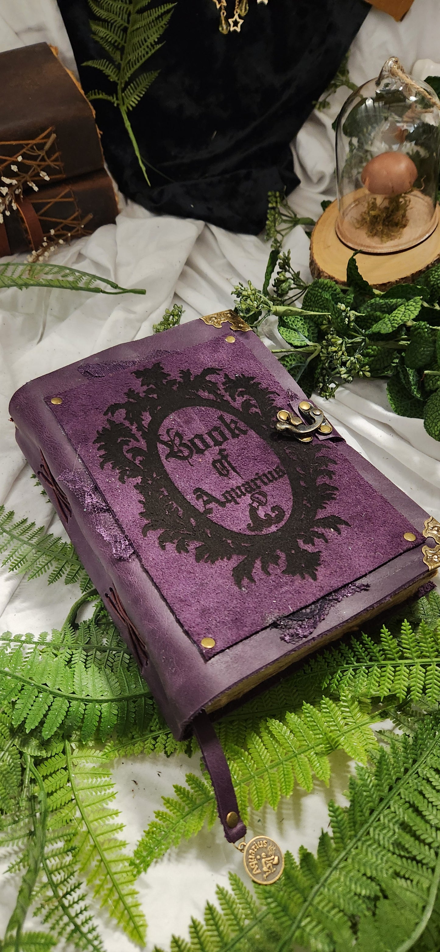 Book of Zodiacs