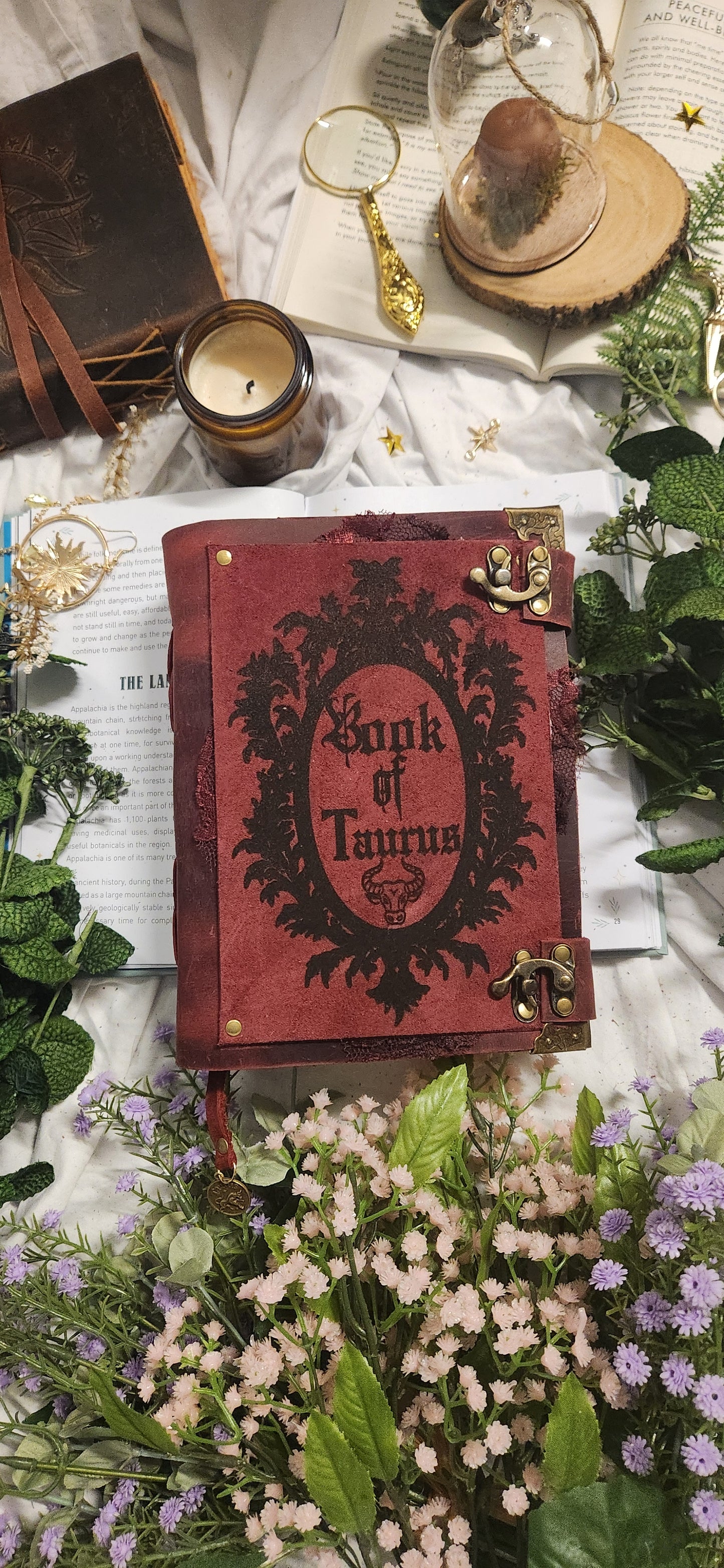 Book of Zodiacs