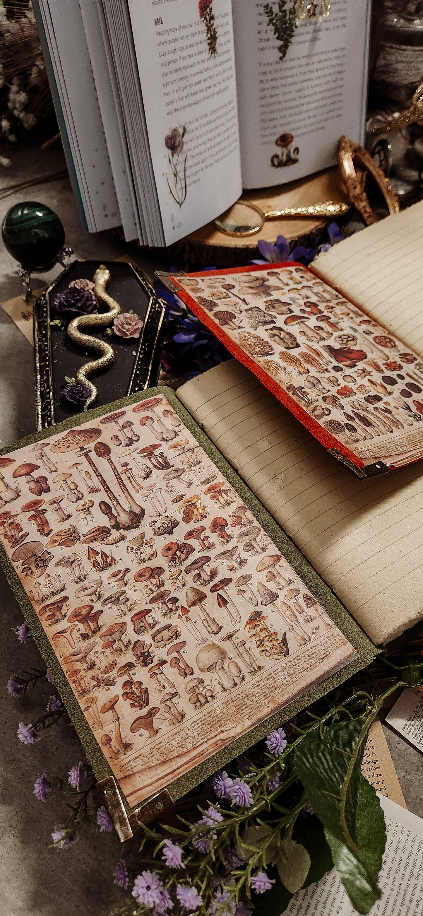Mushroom leather journal