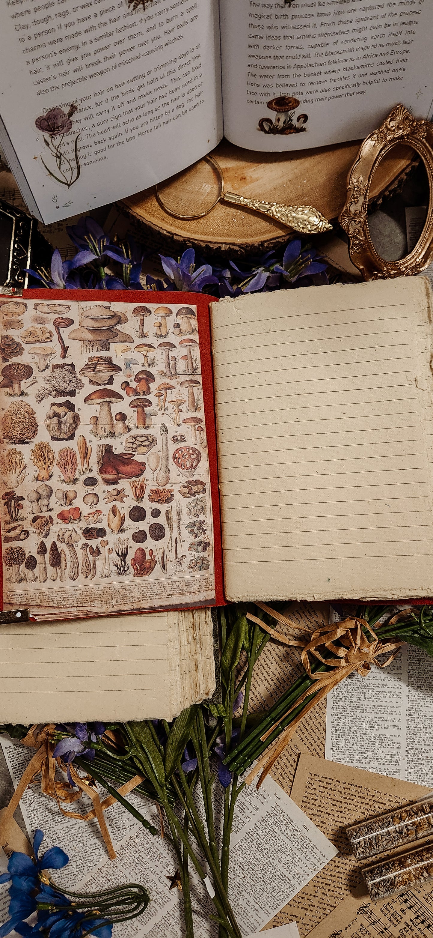 Mushroom leather journal