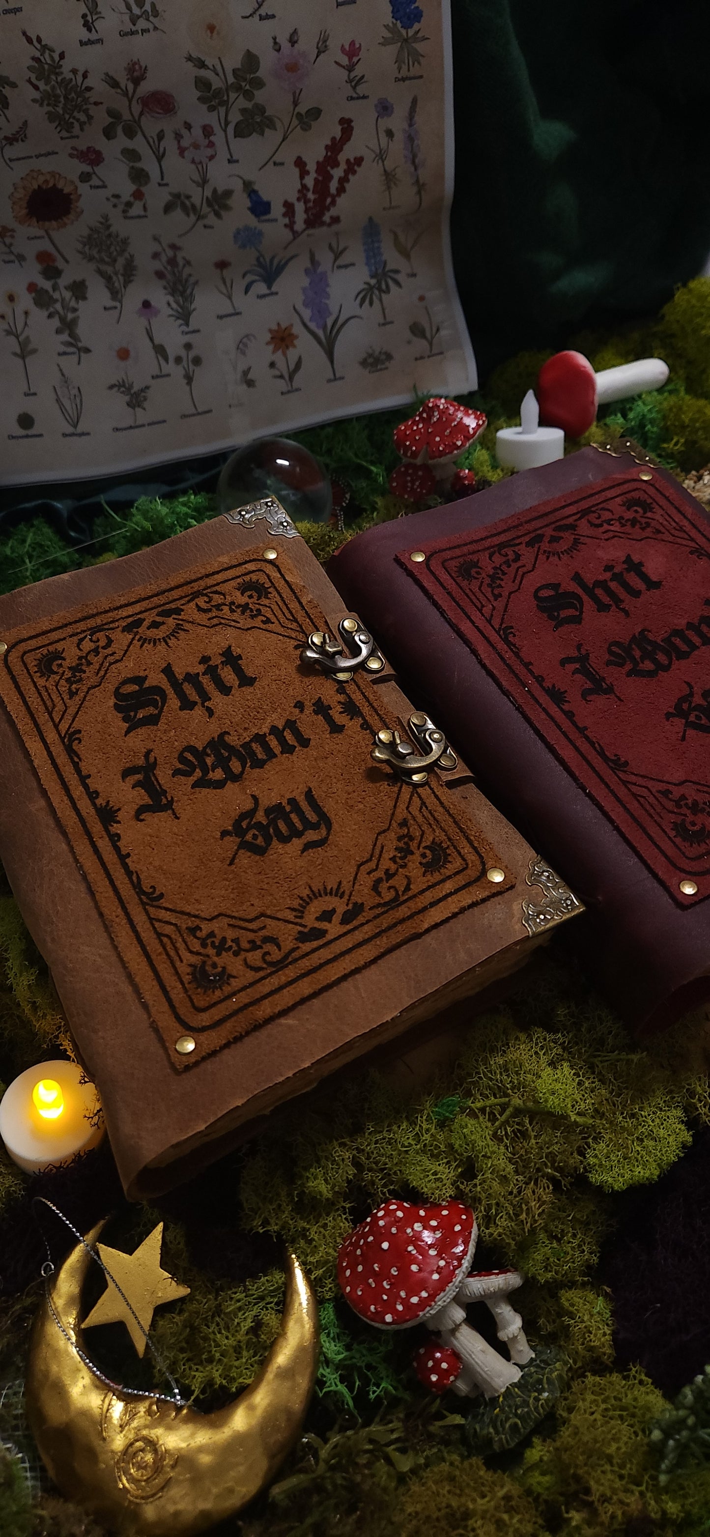 Shit I won't Say leather Journal