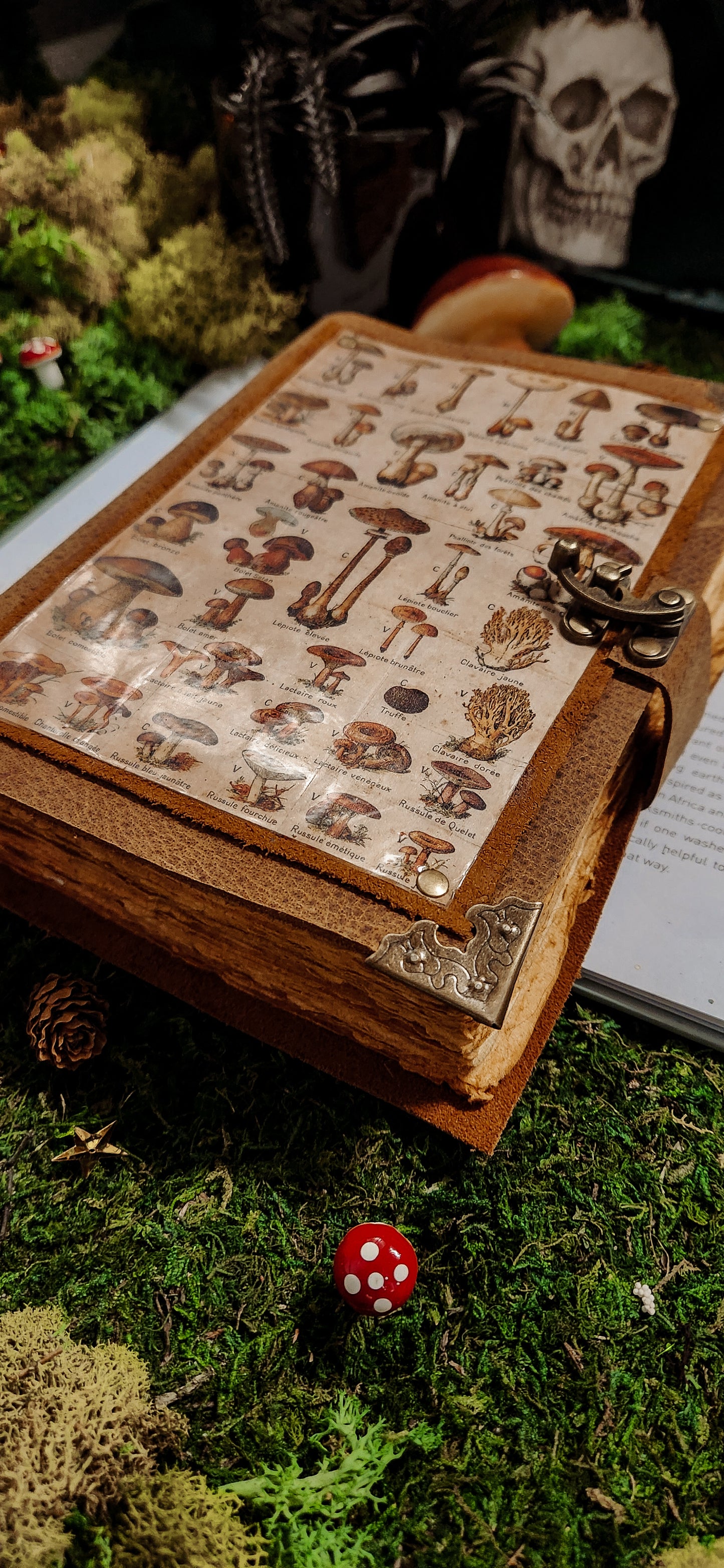 Mushroom Garden leather journal