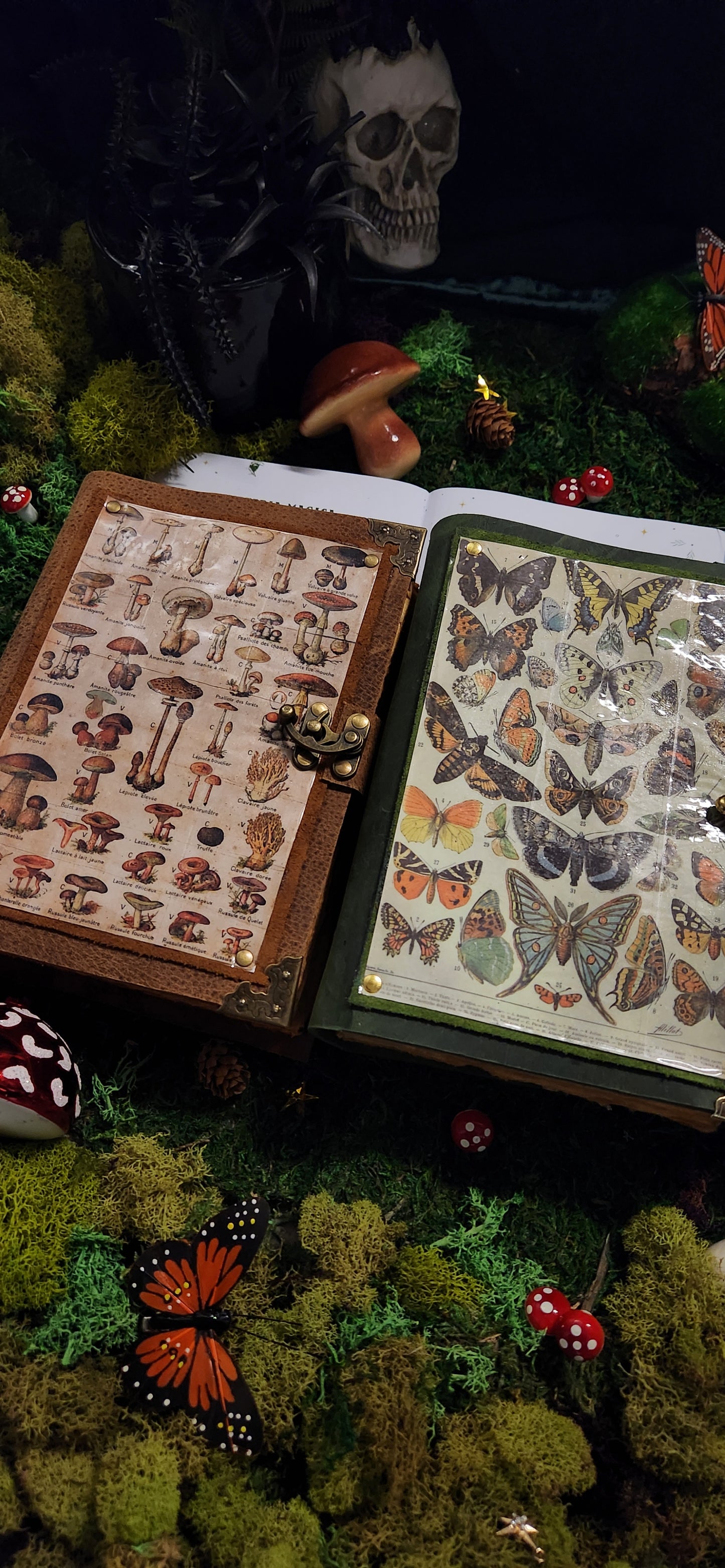Mushroom Garden leather journal