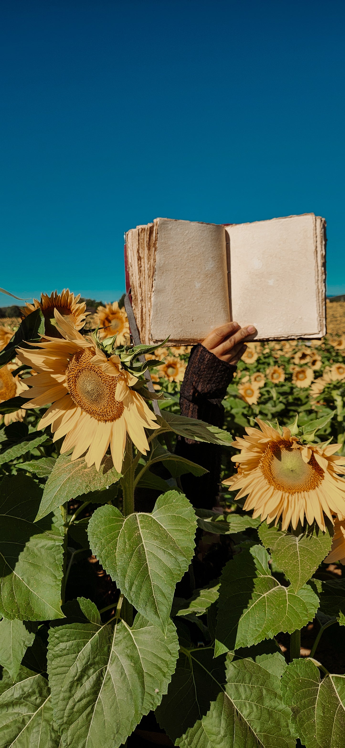 Encyclopedia of my life leather journal