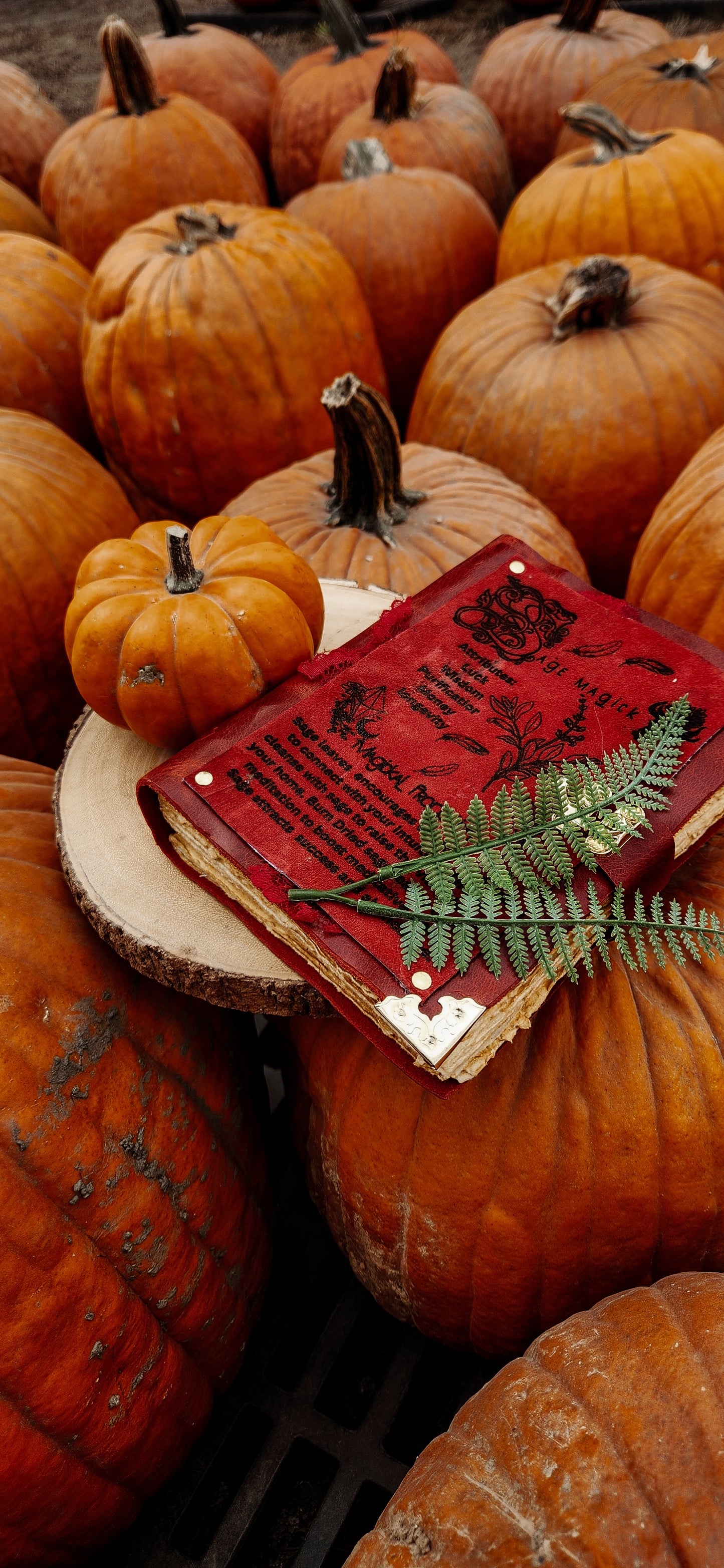 Sage Magick Leather Journal