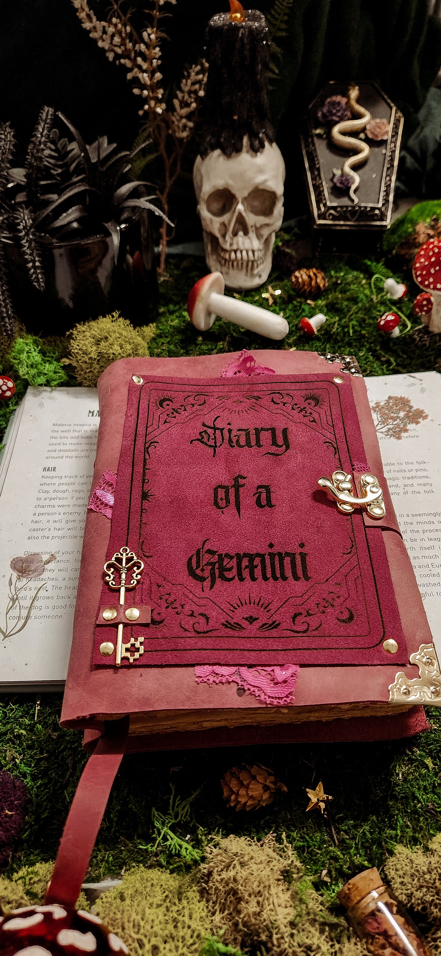 Diary of zodiacs leather journal