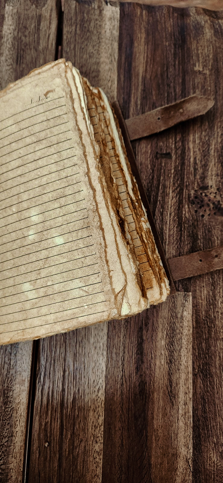 Book of potions leather Journal