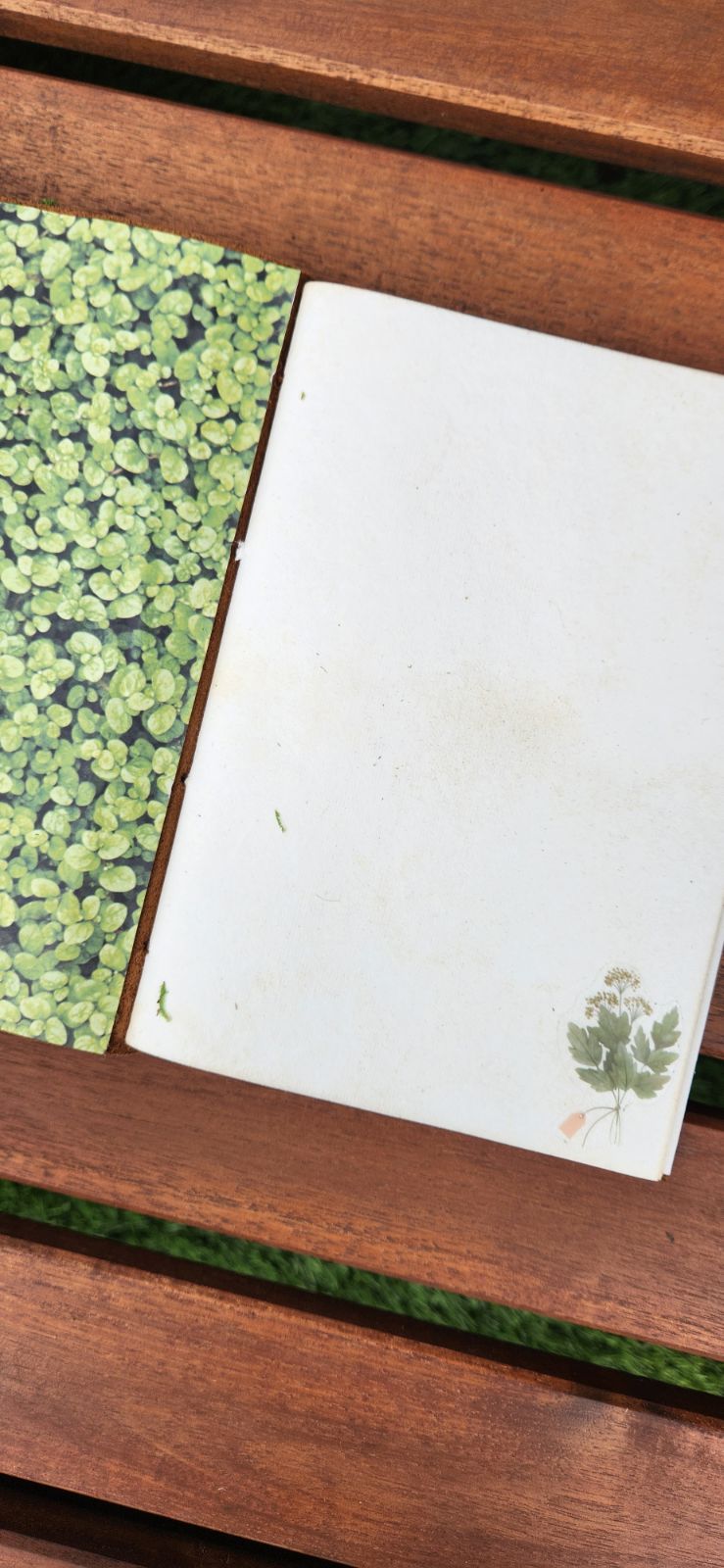 Fairy mirror leather journal