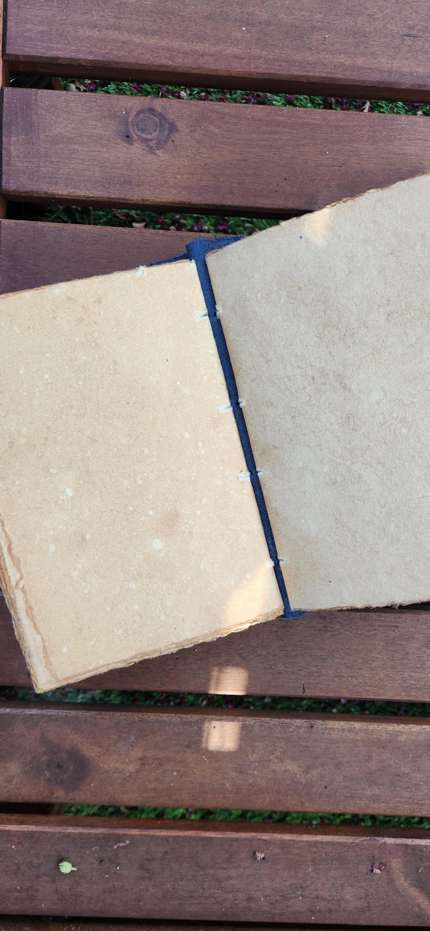 Leather Book of Travels