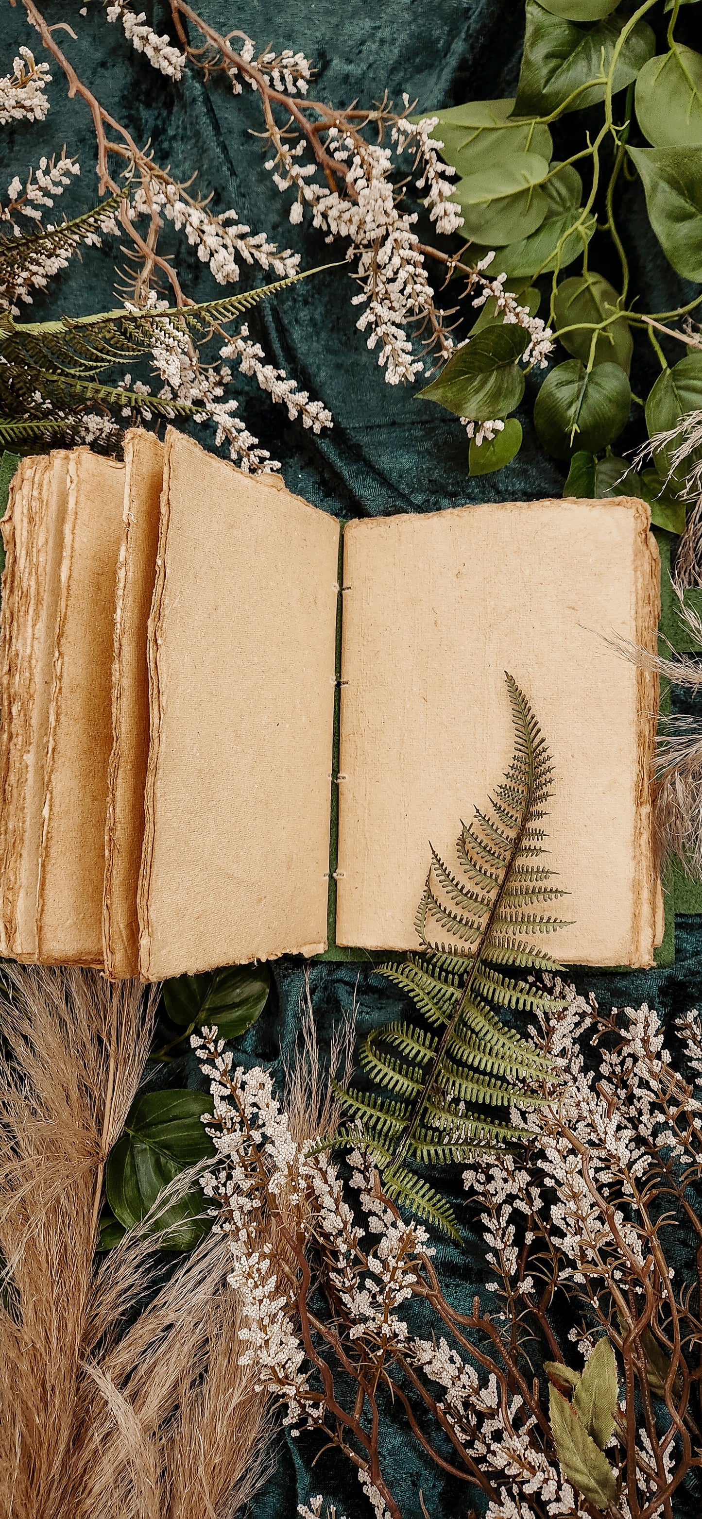 Book of Herbs leather journal & sketchbook