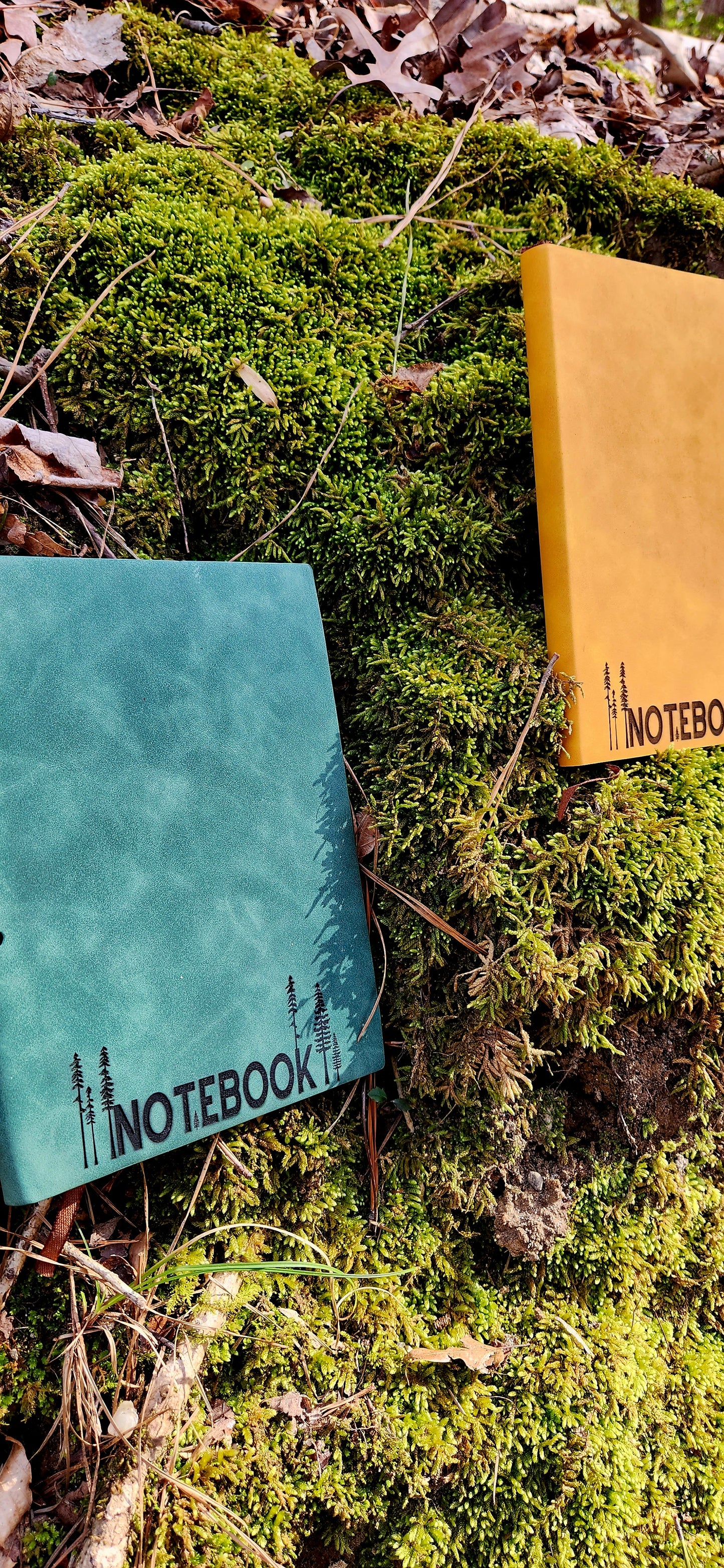 Hexagon Journal