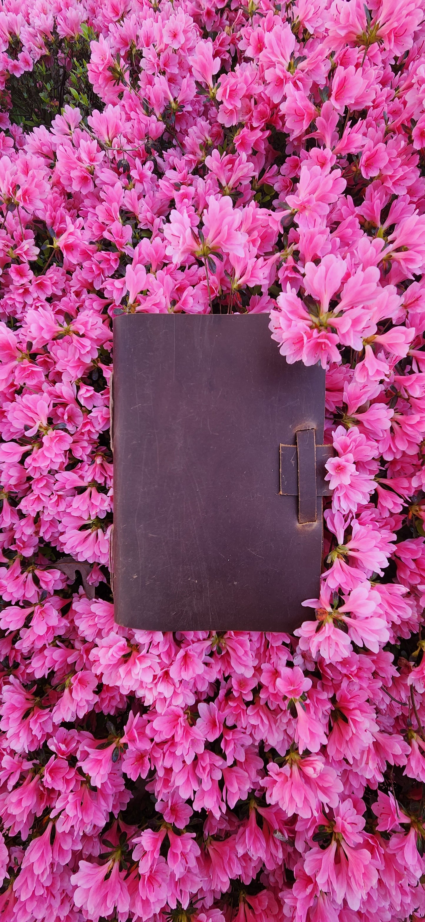 Belt latch leather journal & Sketchbook