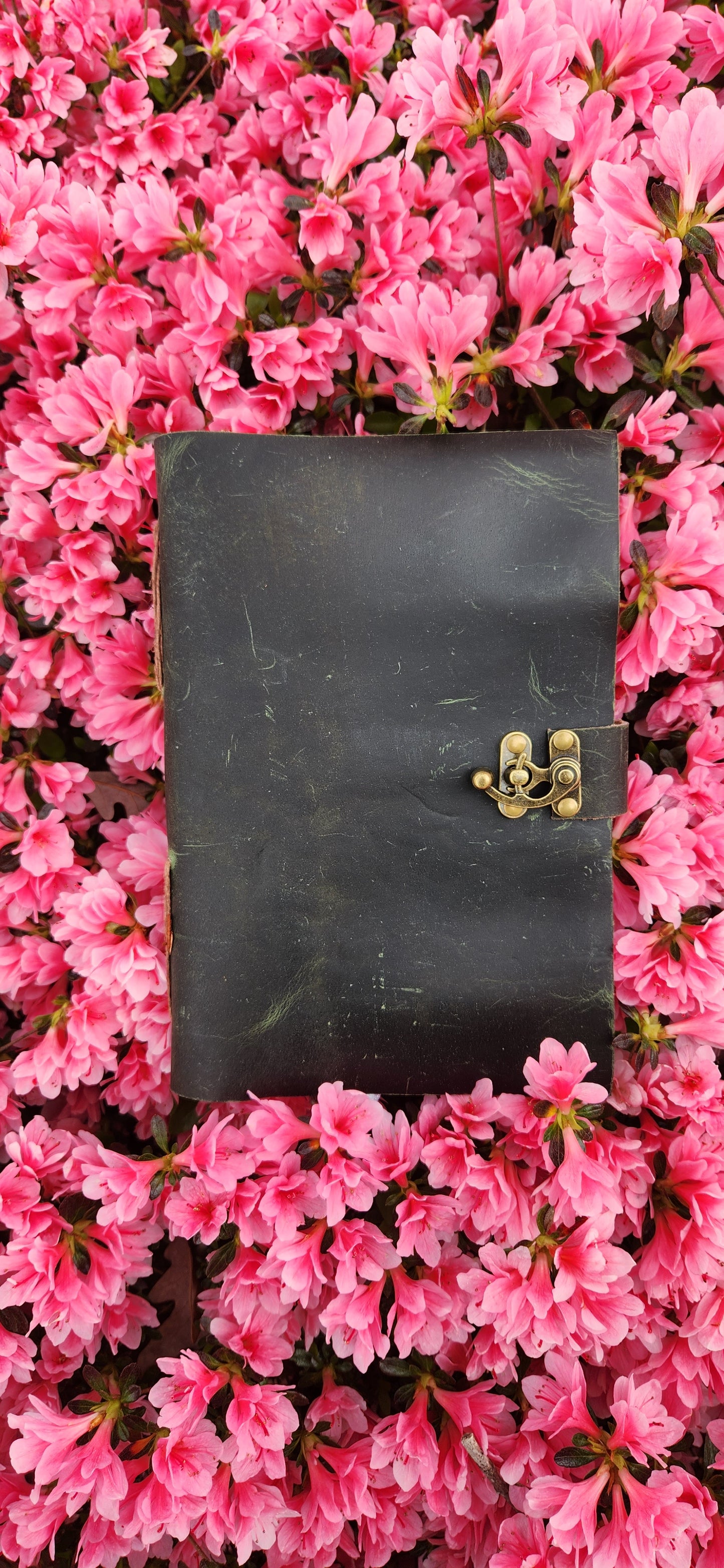Deep in the forest leather journal & Sketchbook