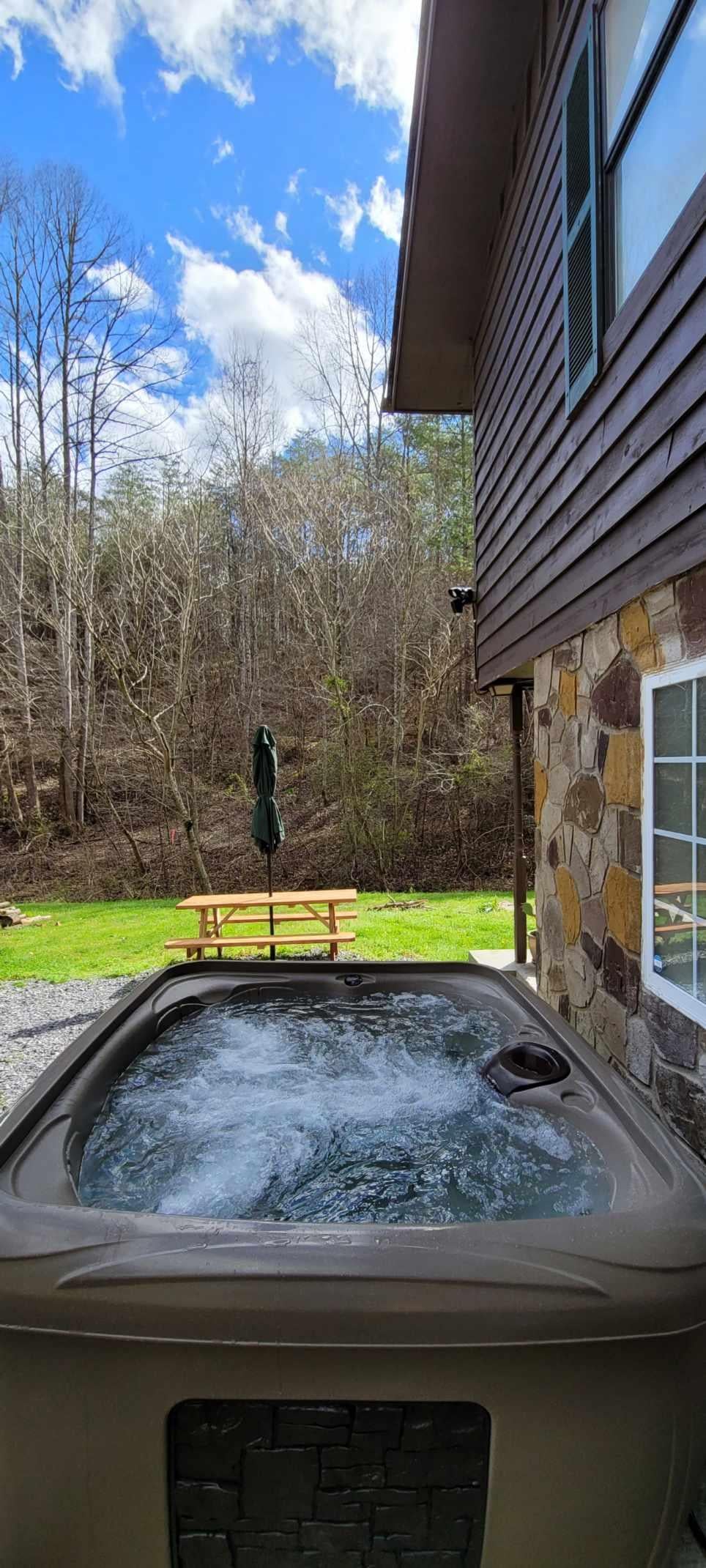 Bear Necessity Cabin (sleeps 10)