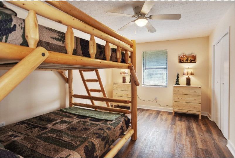 Bear Necessity Cabin (sleeps 10)