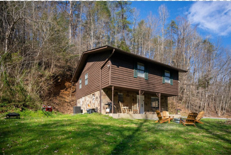 Bear Necessity Cabin (sleeps 10)