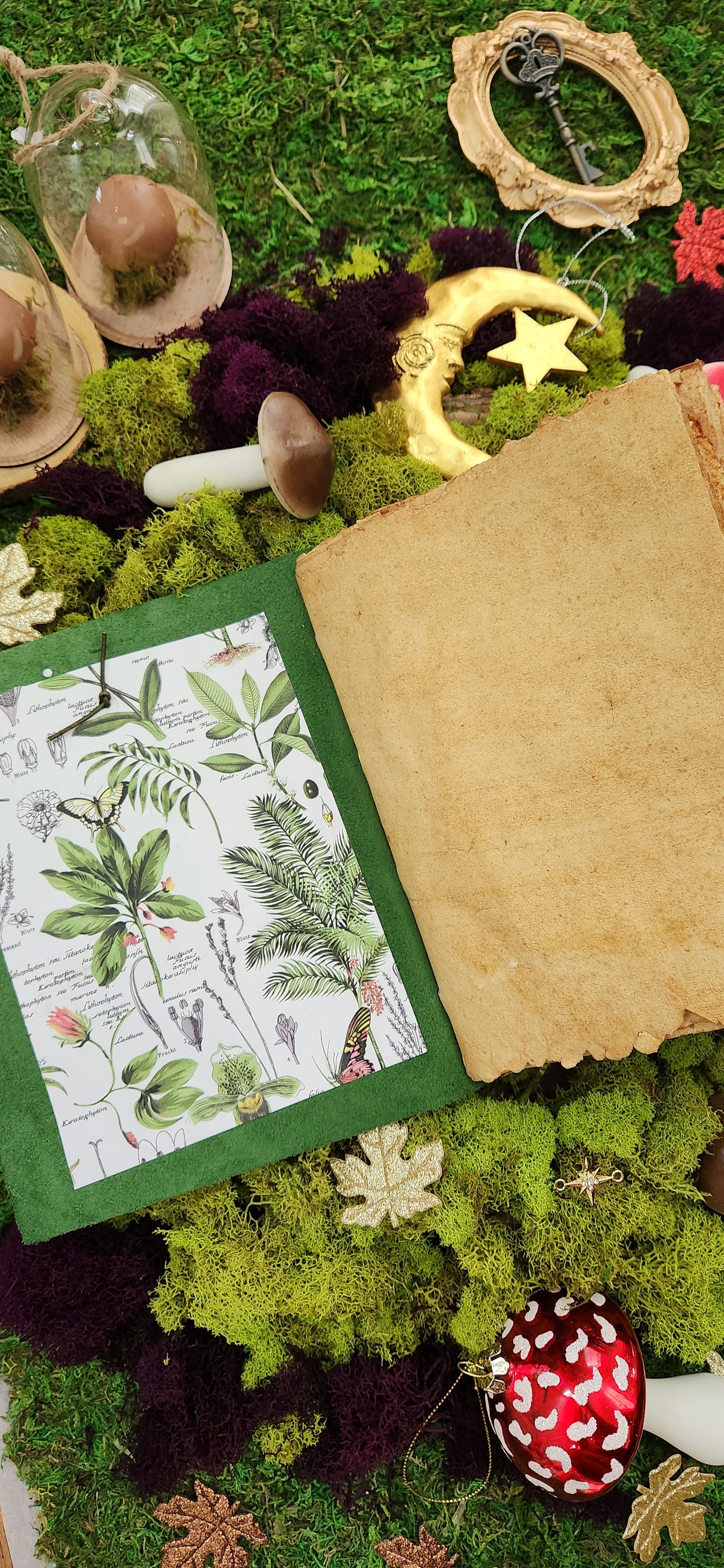 The Botanist Plant leather journal sketchbook