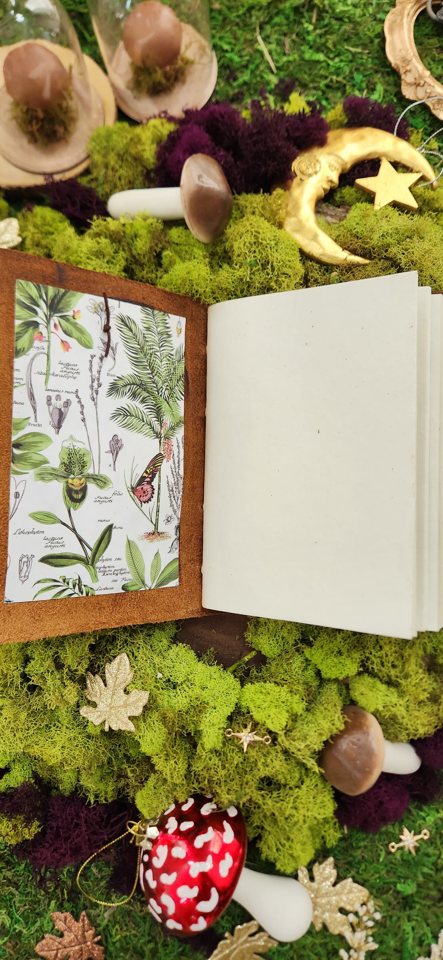 Botanist Plant leather Journal & sketchbook
