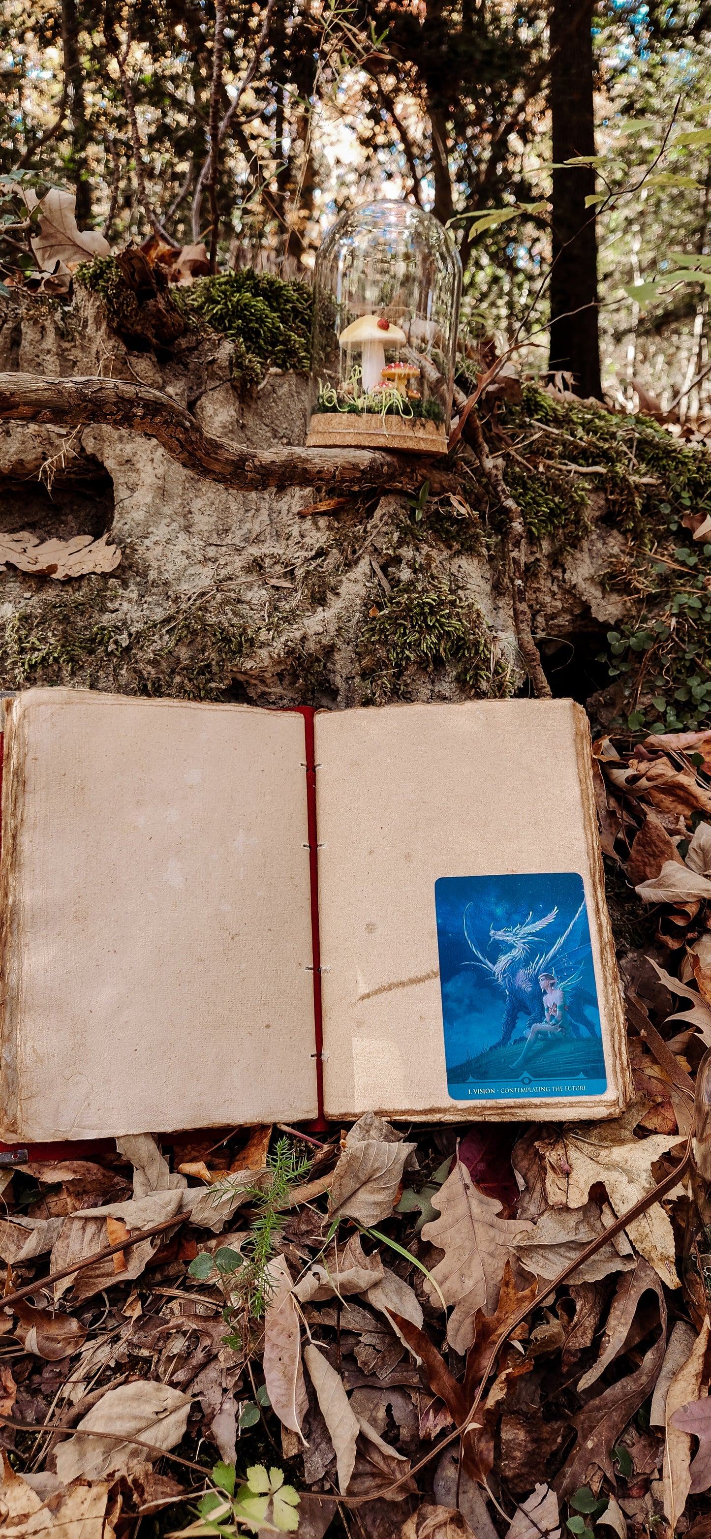 Book or Dragons leather journal & sketchbook