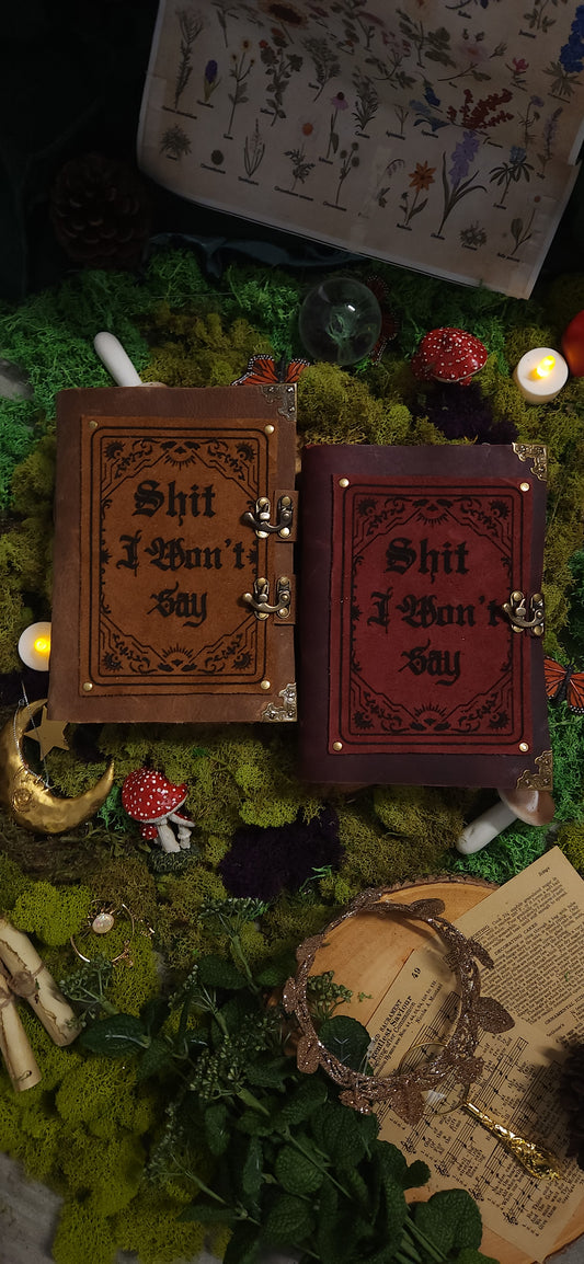 Shit I won't Say leather Journal