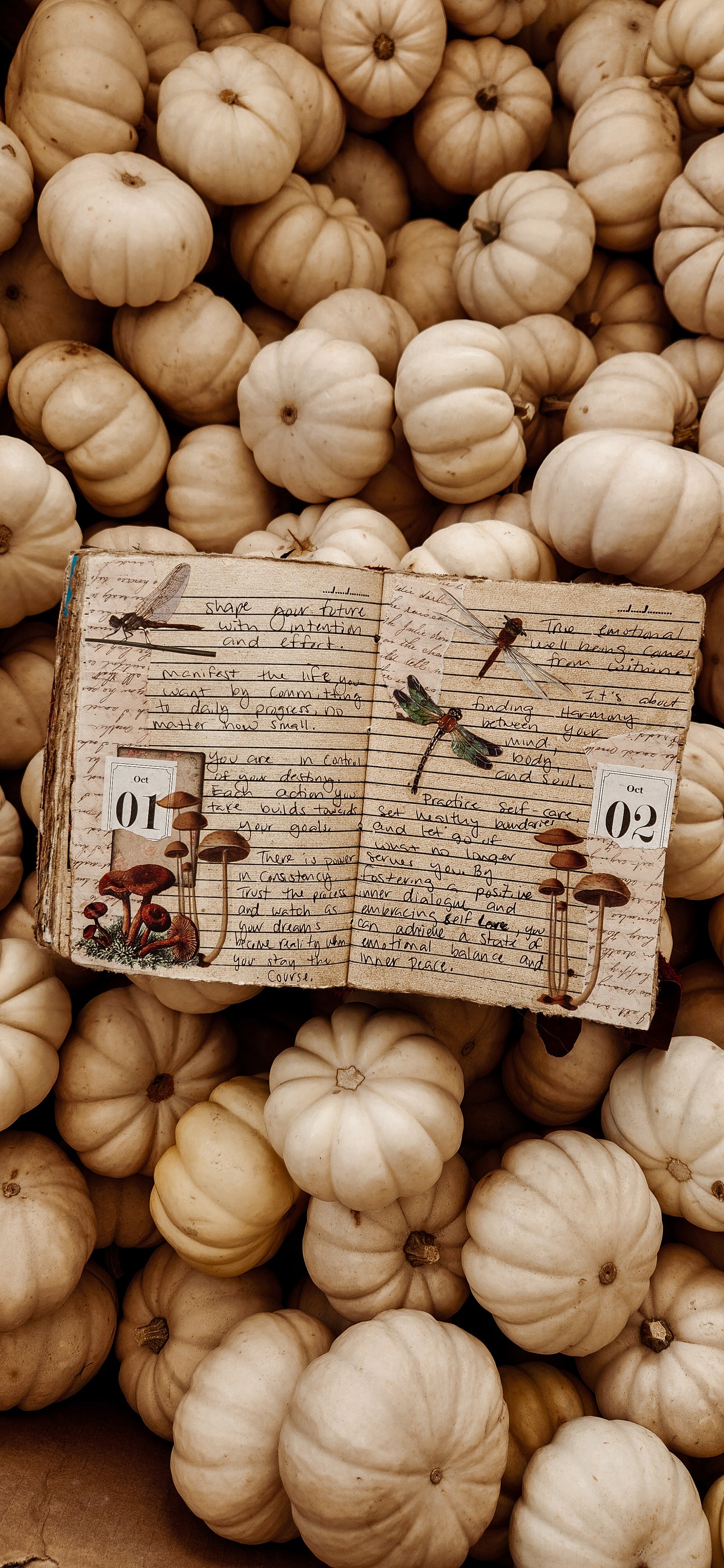 Book of unfinished thoughts