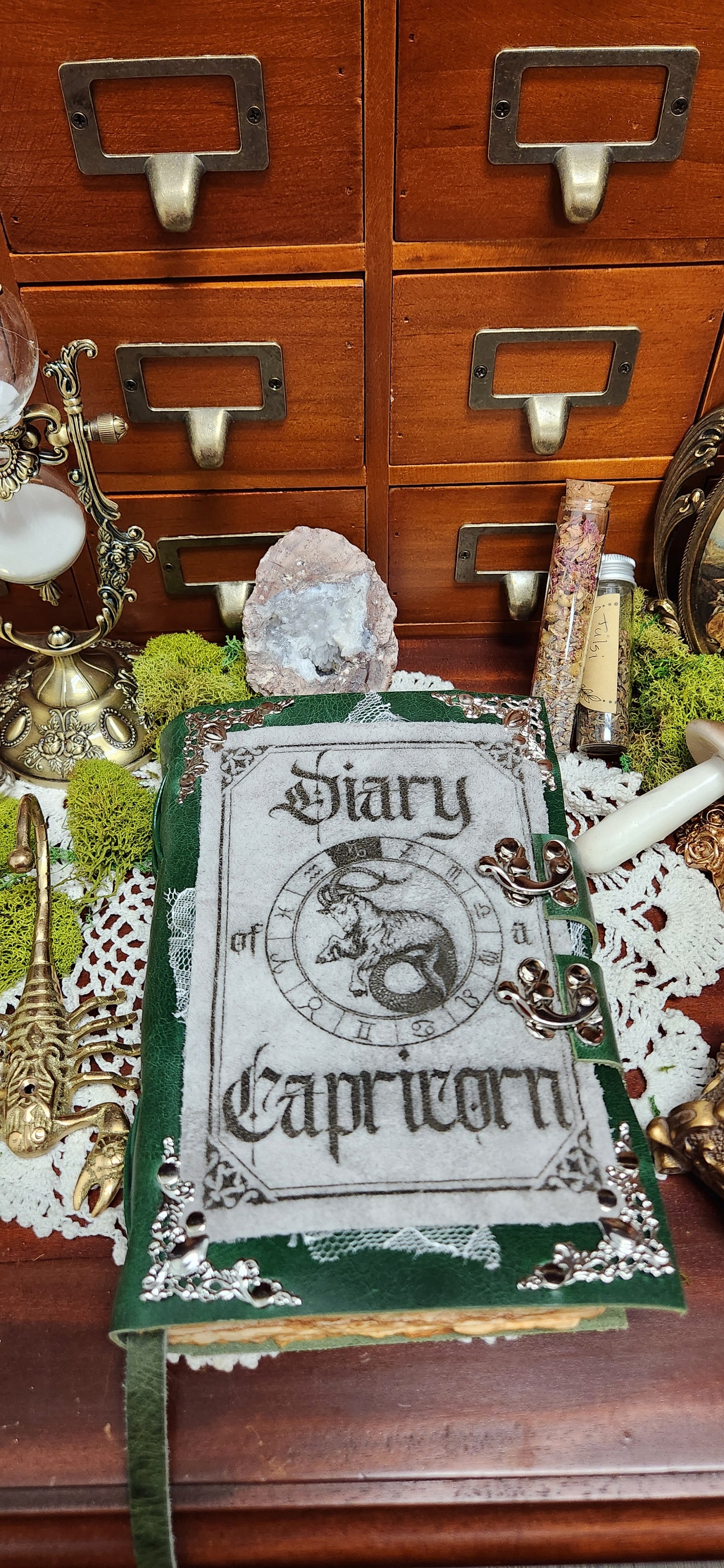Diary of a zodiac leather journal