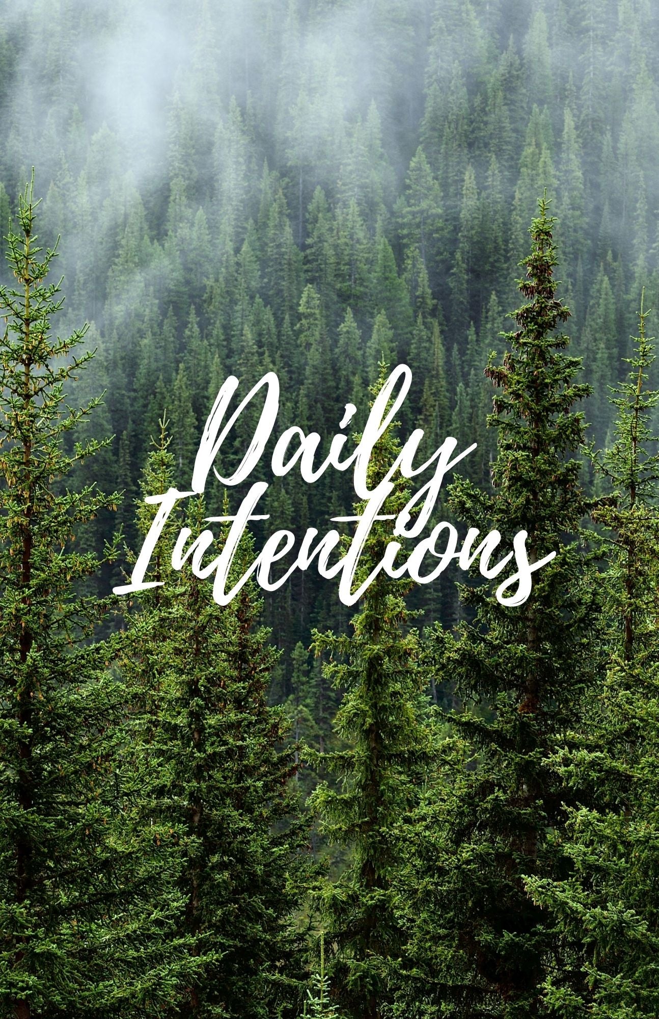 Daily Intentions Goal Planner & Journal: letsjazzitup2